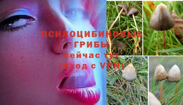 каннабис Лихославль