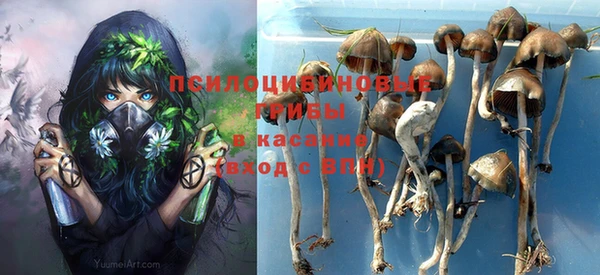 герыч Липки