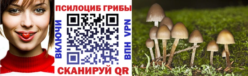 закладки  Шимановск  Галлюциногенные грибы Magic Shrooms 